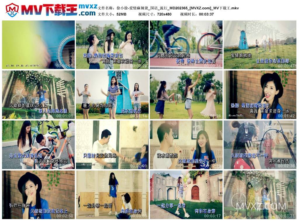 徐小徐-爱情麻辣烫_国语_流行_MD202365